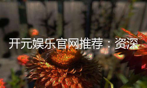 开元娱乐官网推荐:资深玩家揭秘最佳游戏体验与优惠攻略