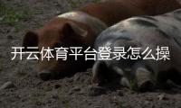 开云体育平台登录怎么操作？官网入口、APP登录与常见问题全攻略
