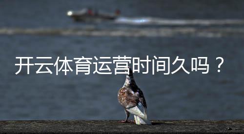 开云体育运营时间久吗?平台历史、信誉与安全性全面解析