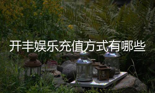 开丰娱乐充值方式有哪些?一文详解各种存款渠道与技巧