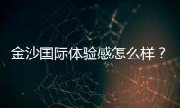 金沙国际体验感怎么样？资深玩家分享真实游戏感受与技巧
