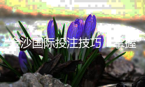 金沙国际投注技巧：掌握这5招轻松提升胜率