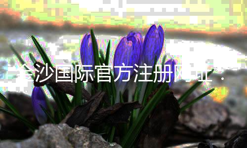 金沙国际官方注册网址:畅享顶级棋牌娱乐与电子游艺盛宴