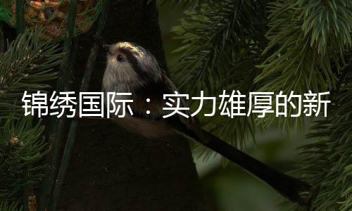 锦绣国际:实力雄厚的新时代领军者