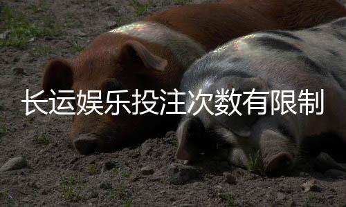 长运娱乐投注次数有限制吗？详细解析平台规则与技巧