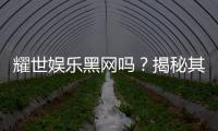 耀世娱乐黑网吗？揭秘其真伪与玩家安全攻略