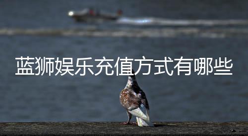 蓝狮娱乐充值方式有哪些?详解最新存款渠道与优惠活动