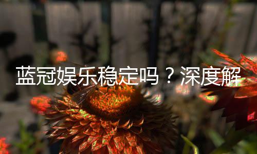 蓝冠娱乐稳定吗?深度解析平台安全性与玩家真实体验