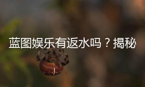 蓝图娱乐有返水吗?揭秘其返水政策与玩家福利详情