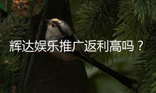 辉达娱乐推广返利高吗？真实玩家解析高返利内幕与技巧