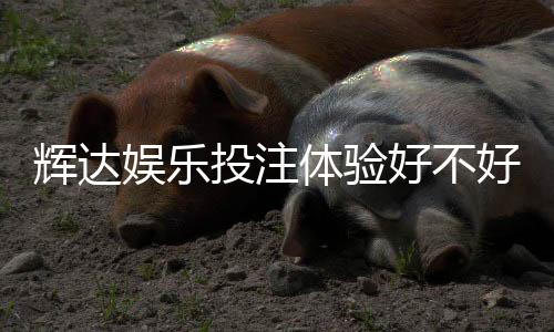 辉达娱乐投注体验好不好?资深玩家亲测真实反馈