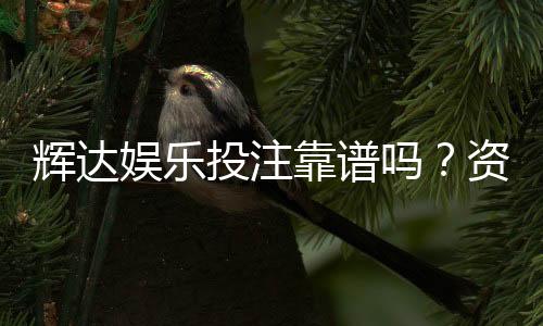 辉达娱乐投注靠谱吗?资深玩家实测解析平台安全性