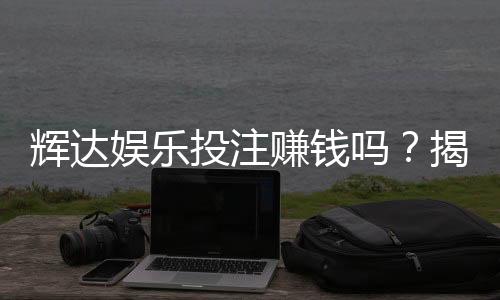 辉达娱乐投注赚钱吗?揭秘真实盈利策略与风险把控