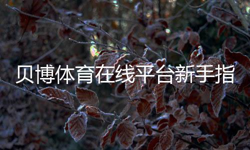 贝博体育在线平台新手指南:注册流程、玩法解析与安全攻略