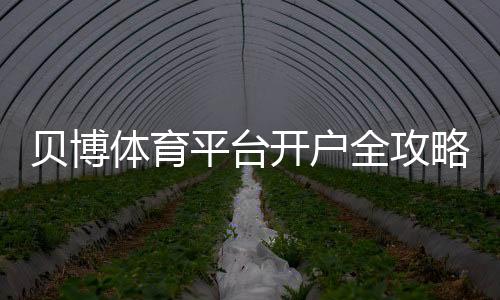 贝博体育平台开户全攻略:新手注册流程、身份验证与常见问题详解