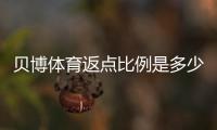 贝博体育返点比例是多少?最新返点规则与计算方法详解