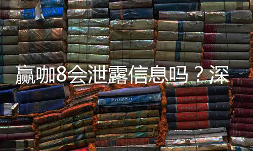 赢咖8会泄露信息吗？深度解析平台安全性及隐私保护措施