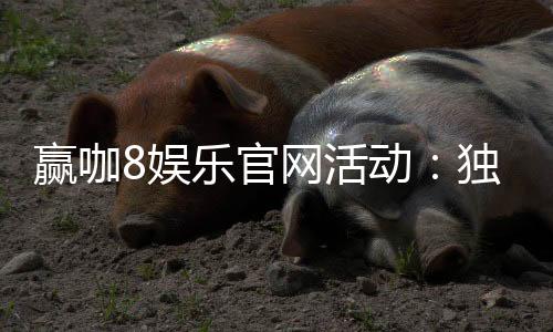 赢咖8娱乐官网活动:独家优惠与精彩赛事等你来参与