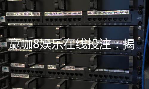 赢咖8娱乐在线投注:揭秘高胜率玩家的投注技巧与实战心得