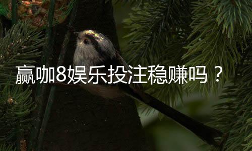 赢咖8娱乐投注稳赚吗?资深玩家揭秘稳赢策略与风险控制