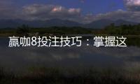赢咖8投注技巧：掌握这5个关键点轻松提升胜率