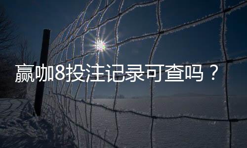 赢咖8投注记录可查吗？一文详解查询方法与注意事项