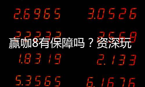 赢咖8有保障吗?资深玩家揭秘平台安全与赢利攻略