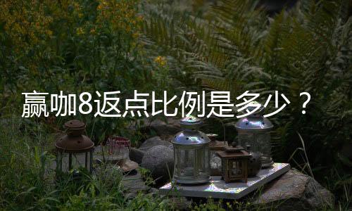 赢咖8返点比例是多少?揭秘高返点优惠内幕