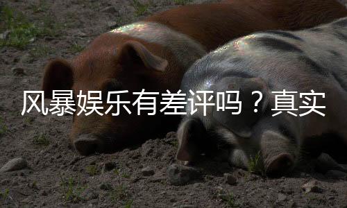 风暴娱乐有差评吗？真实玩家体验与平台口碑深度解析