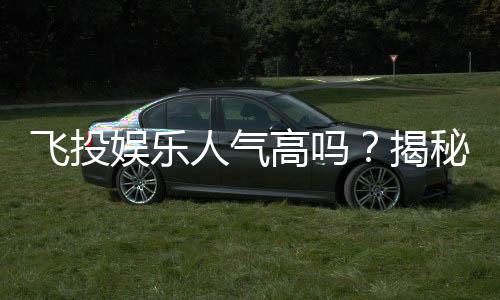 飞投娱乐人气高吗？揭秘其火爆原因与玩家真实反馈