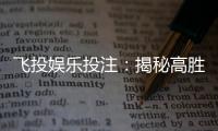 飞投娱乐投注:揭秘高胜率玩家的投注技巧与策略