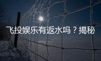 飞投娱乐有返水吗？揭秘返水优惠与玩法攻略
