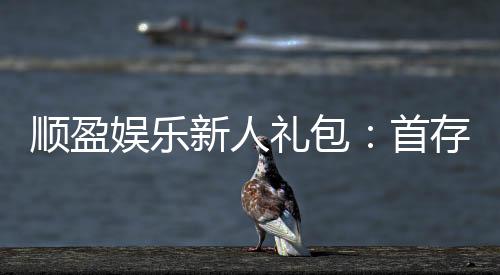 顺盈娱乐新人礼包:首存福利与独家优惠详解