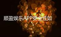 顺盈娱乐APP安全性如何？深度解析平台保障措施与玩家体验