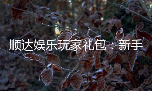 顺达娱乐玩家礼包:新手必领的超值福利与独家优惠