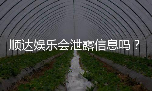顺达娱乐会泄露信息吗?深度解析平台安全性与隐私保护措施