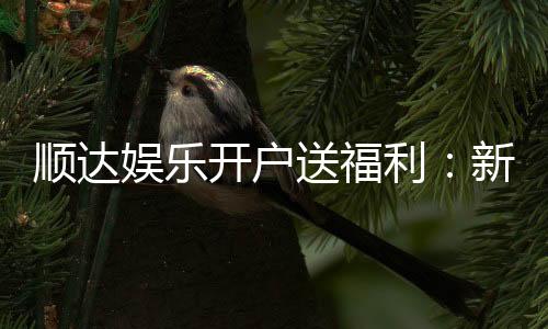 顺达娱乐开户送福利：新人专享豪礼首存即送888元彩金