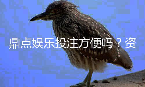 鼎点娱乐投注方便吗?资深玩家实测存取款与游戏流畅度