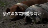 鼎点娱乐官网登录网址：玩家注册指南与安全解析