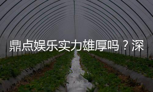 鼎点娱乐实力雄厚吗?深度解析其平台优势与玩家真实体验