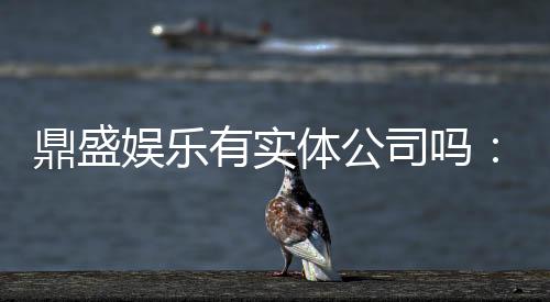 鼎盛娱乐有实体公司吗:揭秘行业内真实情况