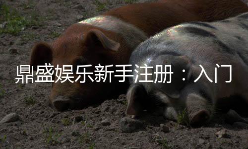 鼎盛娱乐新手注册:入门必知技巧