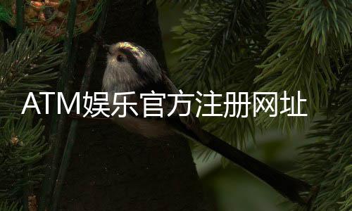 ATM娱乐官方注册网址:轻松获取最新官网入口及注册教程