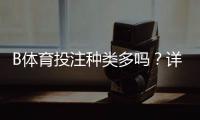 B体育投注种类多吗？详解各类玩法类型与新手投注入门攻略