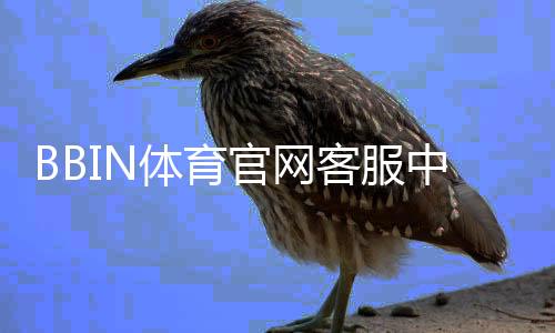 BBIN体育官网客服中心怎么联系客服?在线客服流程、常见问题与投诉处理详解