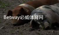 Betway必威体育网页版怎么样？安全性、功能与注册使用全面评测