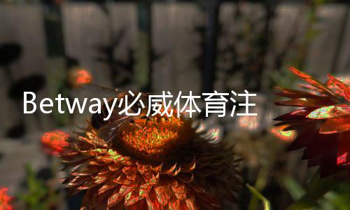 Betway必威体育注册礼包怎么领取？新手注册教程、优惠规则与注意事项详解