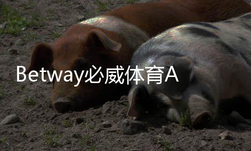 Betway必威体育APP注册怎么做？新手一步步图文教程与常见问题解答