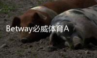 Betway必威体育APP安全性如何？合规性、隐私与资金保护全面评测