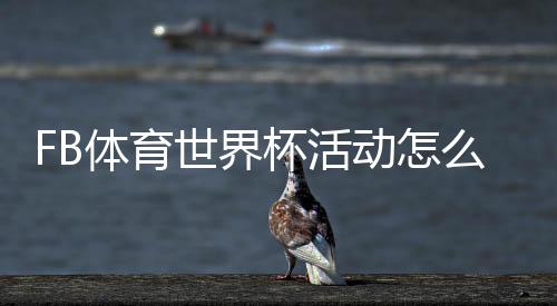 FB体育世界杯活动怎么玩?新手参与攻略、玩法规则与优惠福利详解